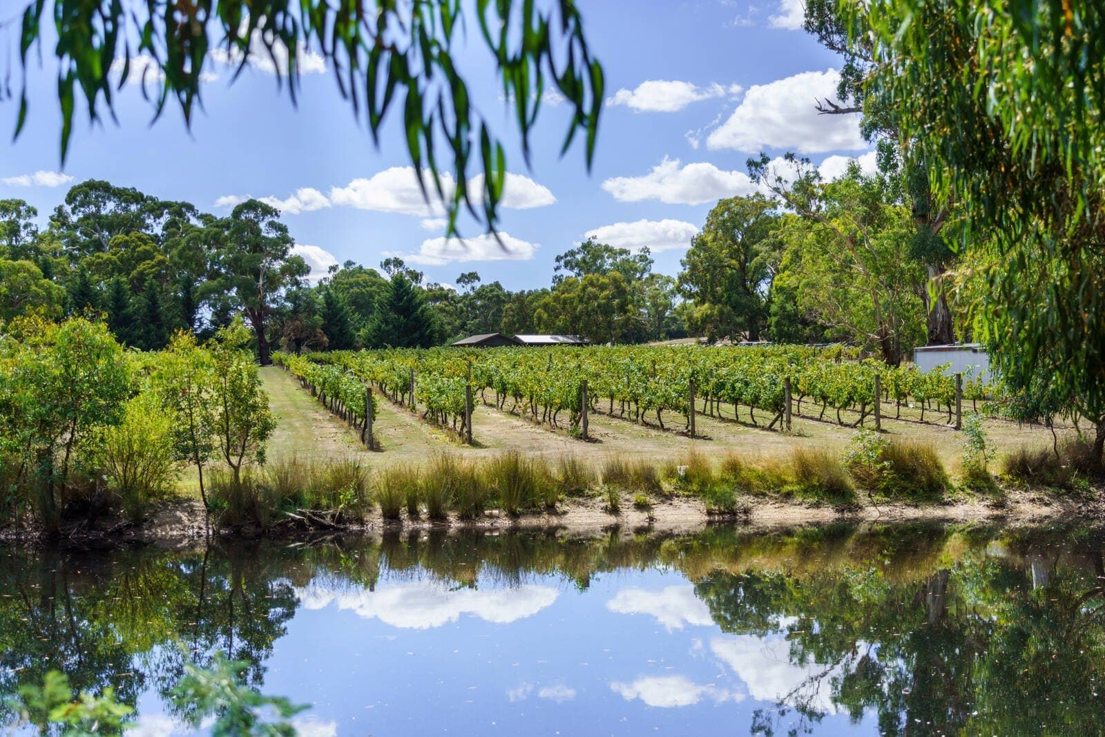 170 Baynton Road, Kyneton - Thumbnail 7