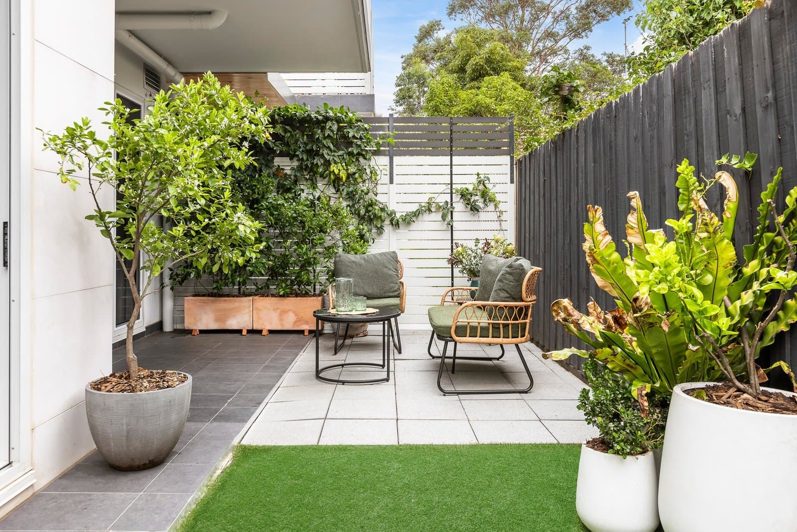 G01 813 Toorak Road, Hawthorn East - Thumbnail 6