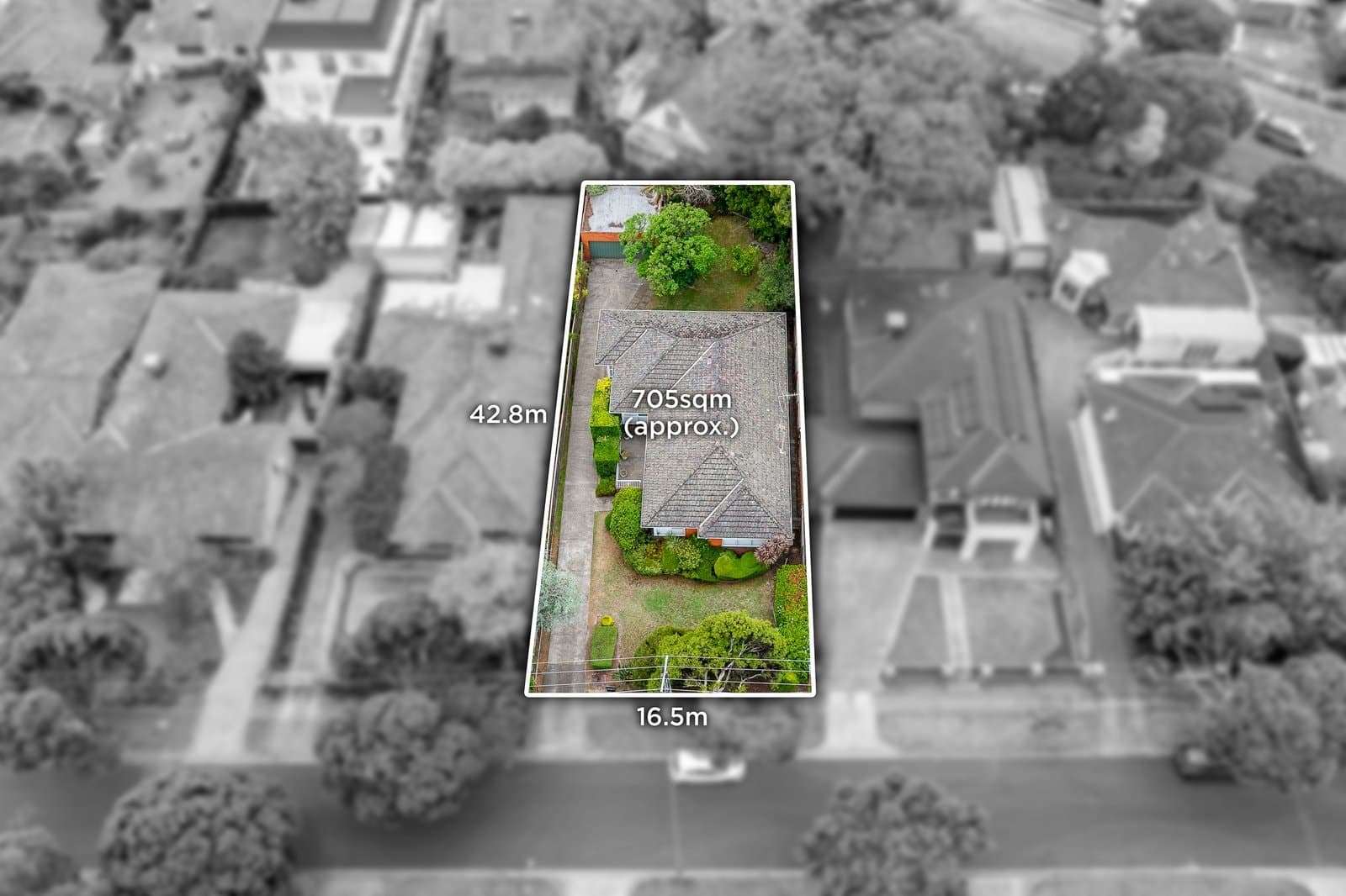 25 Nevada Street, Balwyn North - Thumbnail 2