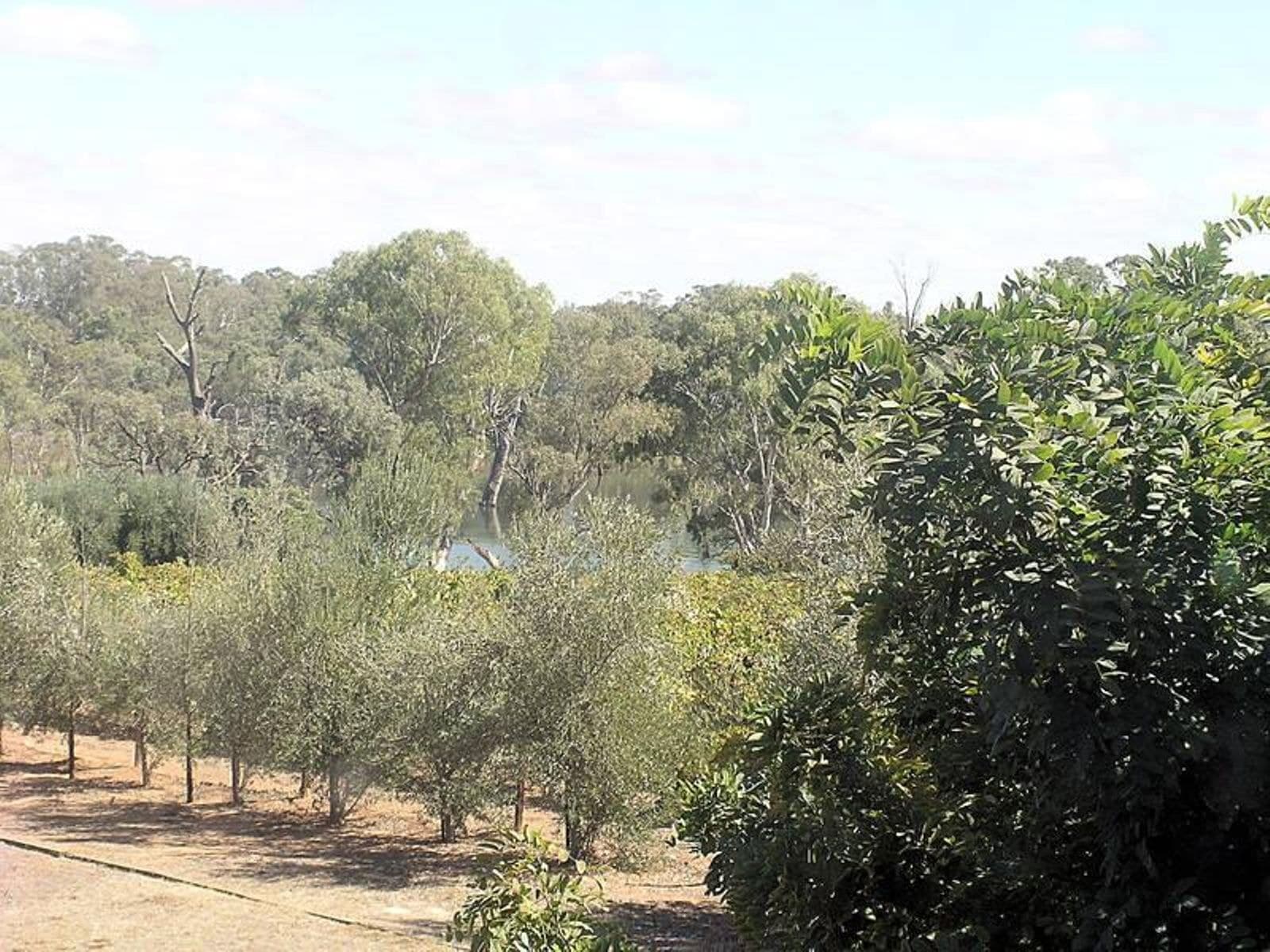 18 Riverview Rise, Gol Gol - Thumbnail 7