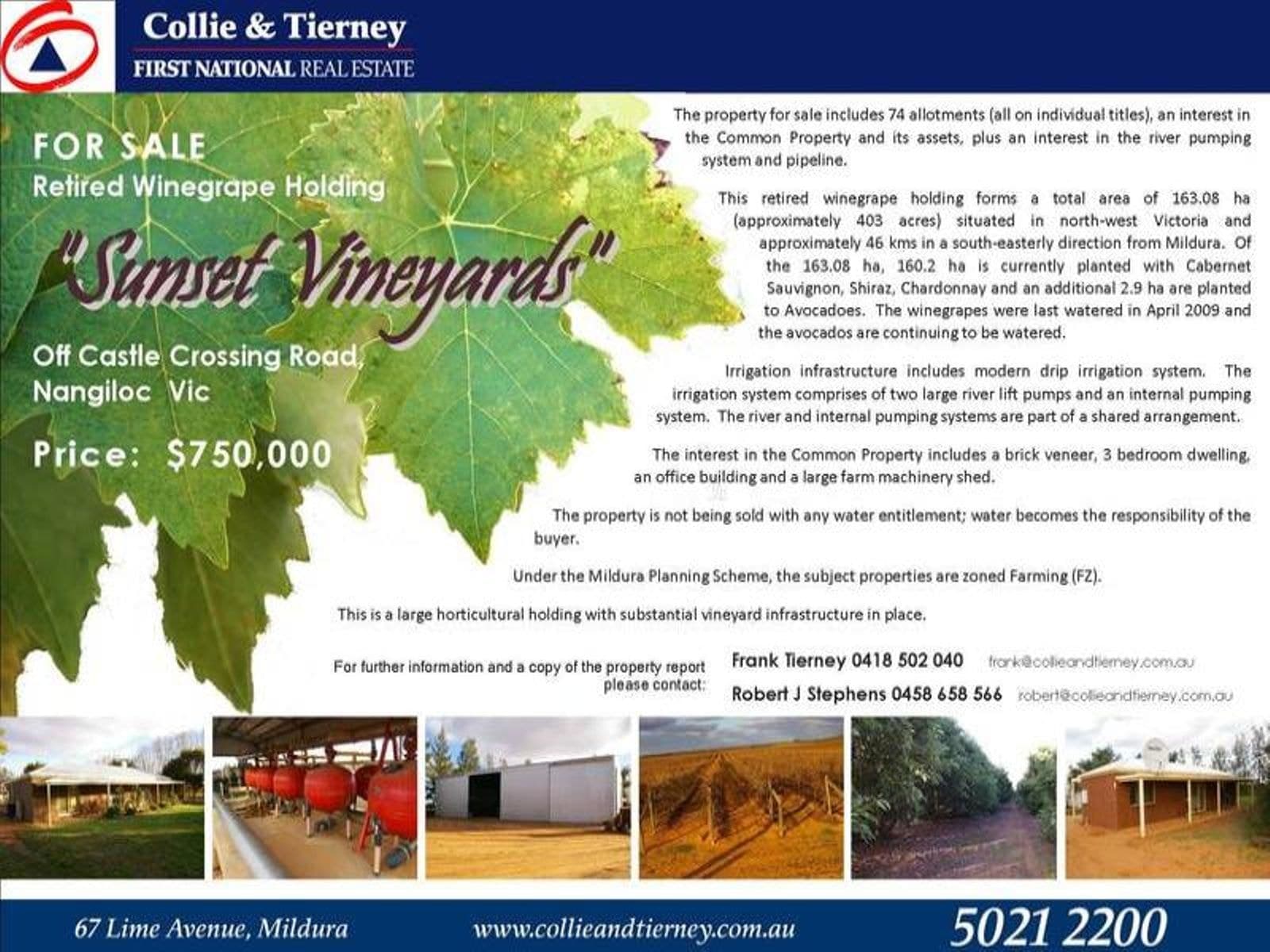 Sunset Vineyards Off Castle Crossing Road, Nangiloc - Image 1