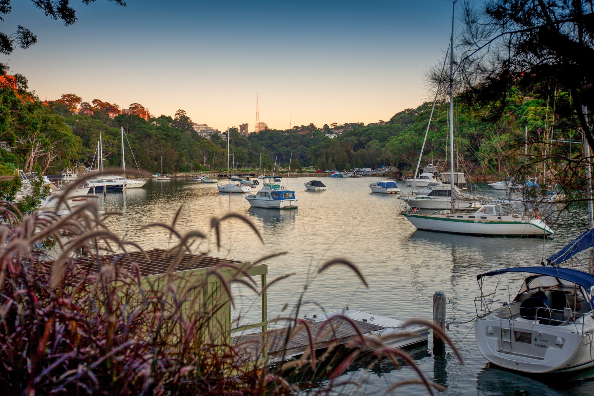 42 Cowdroy Avenue, Cammeray NSW 2062, Cammeray - Thumbnail 3