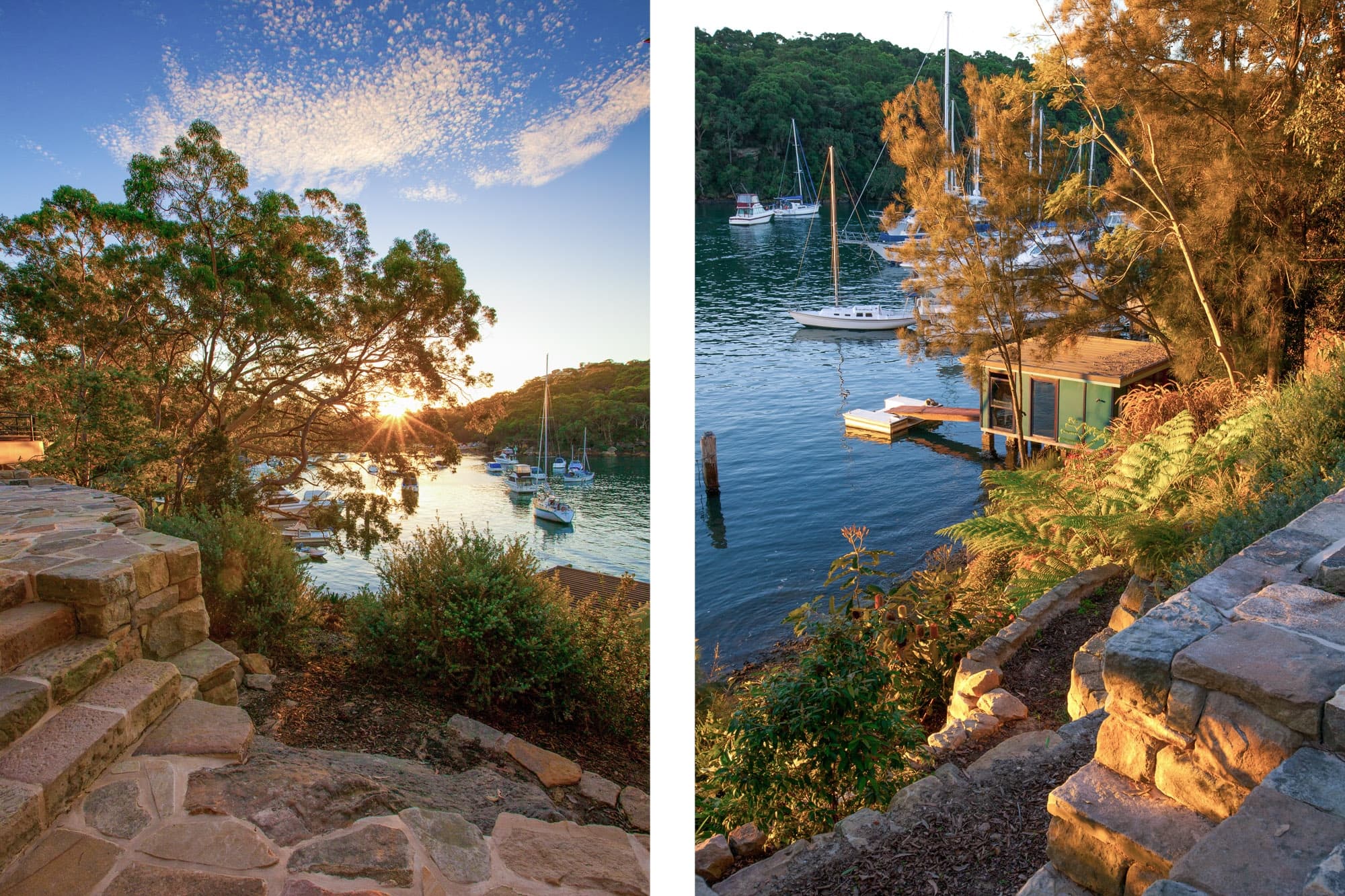 42 Cowdroy Avenue, Cammeray NSW 2062, Cammeray - Thumbnail 5