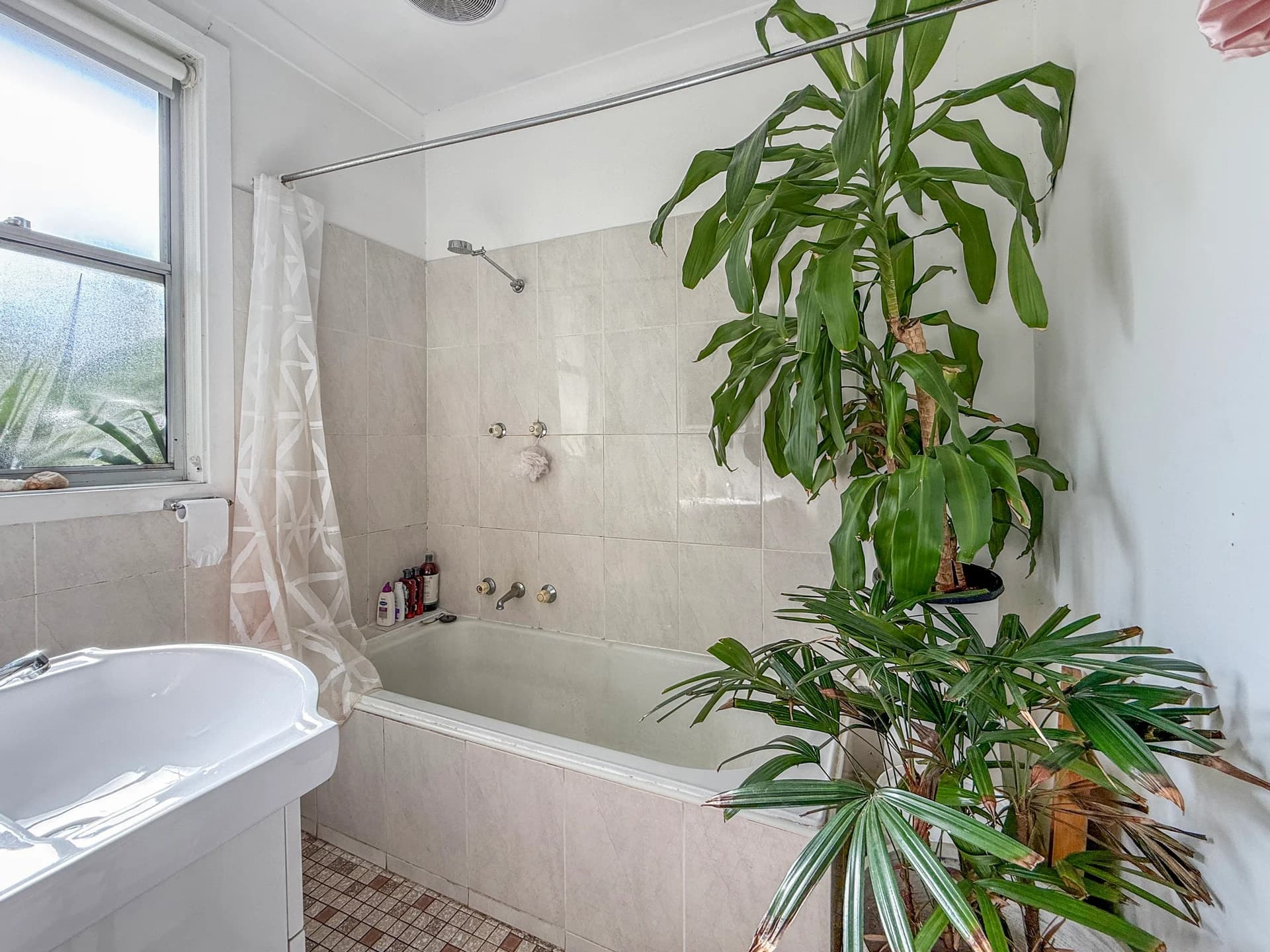 50 Eager Street, CORRIMAL NSW 2518, Corrimal - Thumbnail 4