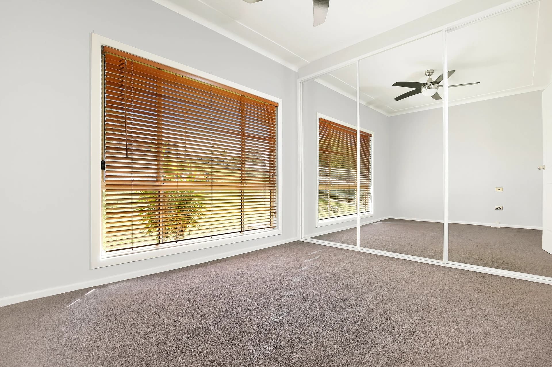 19 Maynes Parade, UNANDERRA NSW 2526, Unanderra - Thumbnail 4