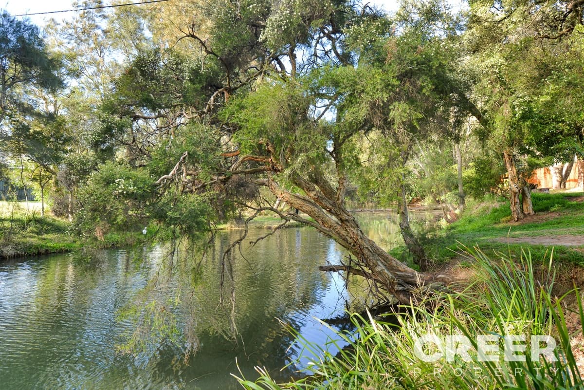 28 Martin Street, Warners Bay, Warners Bay - Thumbnail 4