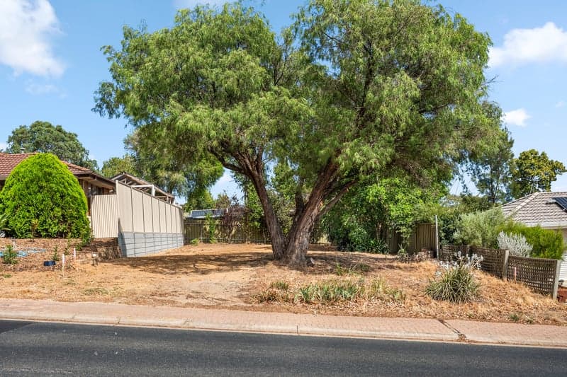 Lot 742, 10 Greenfield Rise, Aberfoyle Park - Thumbnail 5