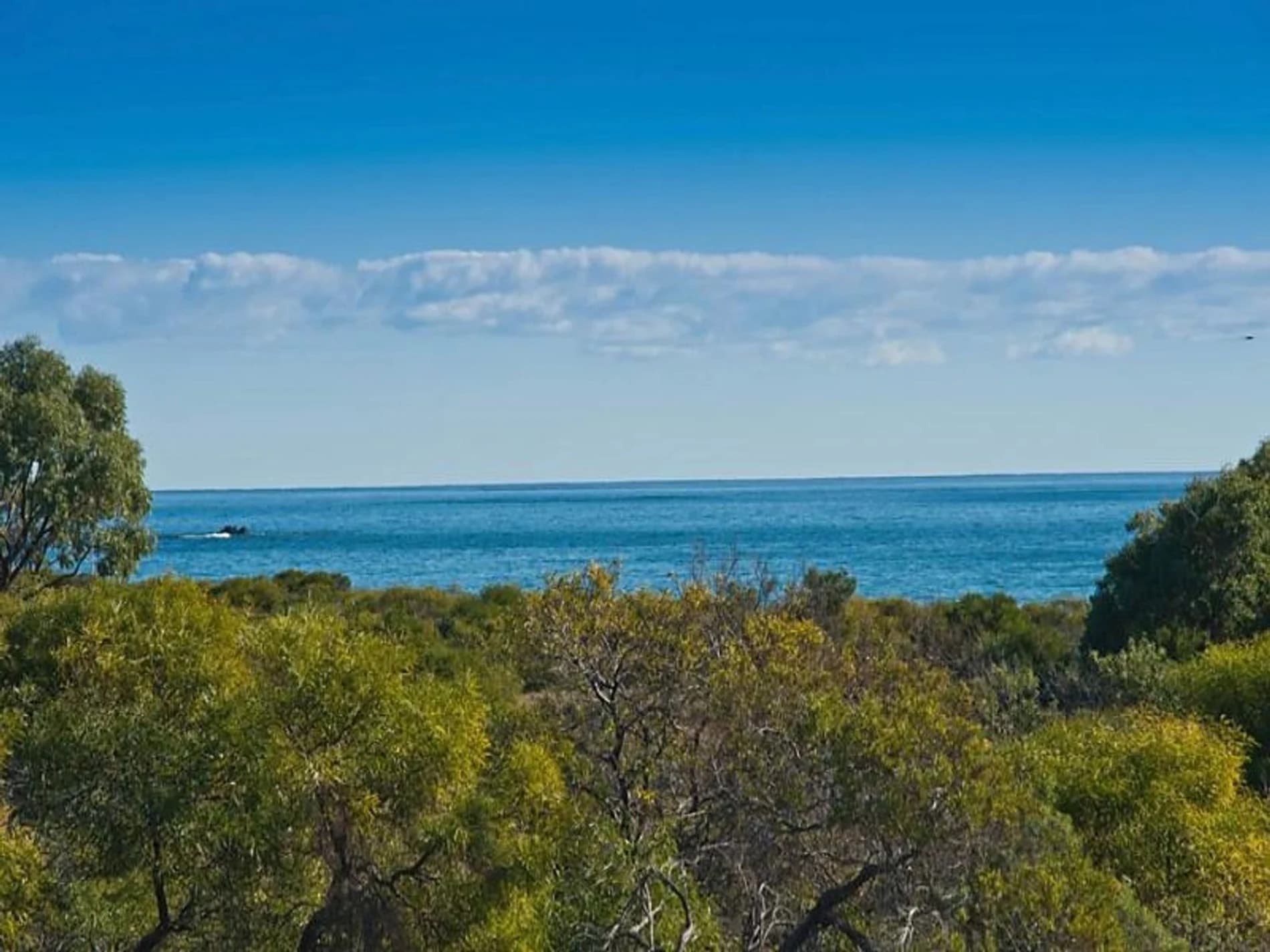 all offers will be presented, 7B Fairhaven Terrace, Hillarys WA 6025, Hillarys - Thumbnail 6