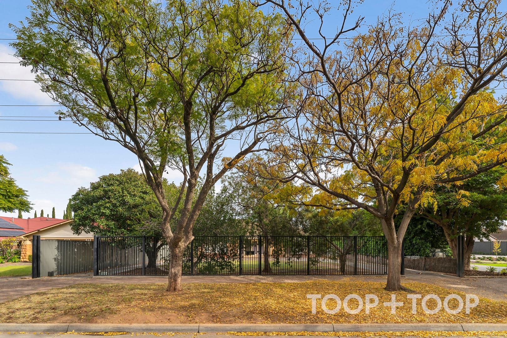 13 Allinga Avenue, Glenside SA 5065, Glenside - Thumbnail 3