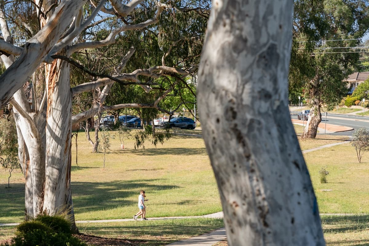 87 Fitchett Street, Garran, Garran - Thumbnail 8