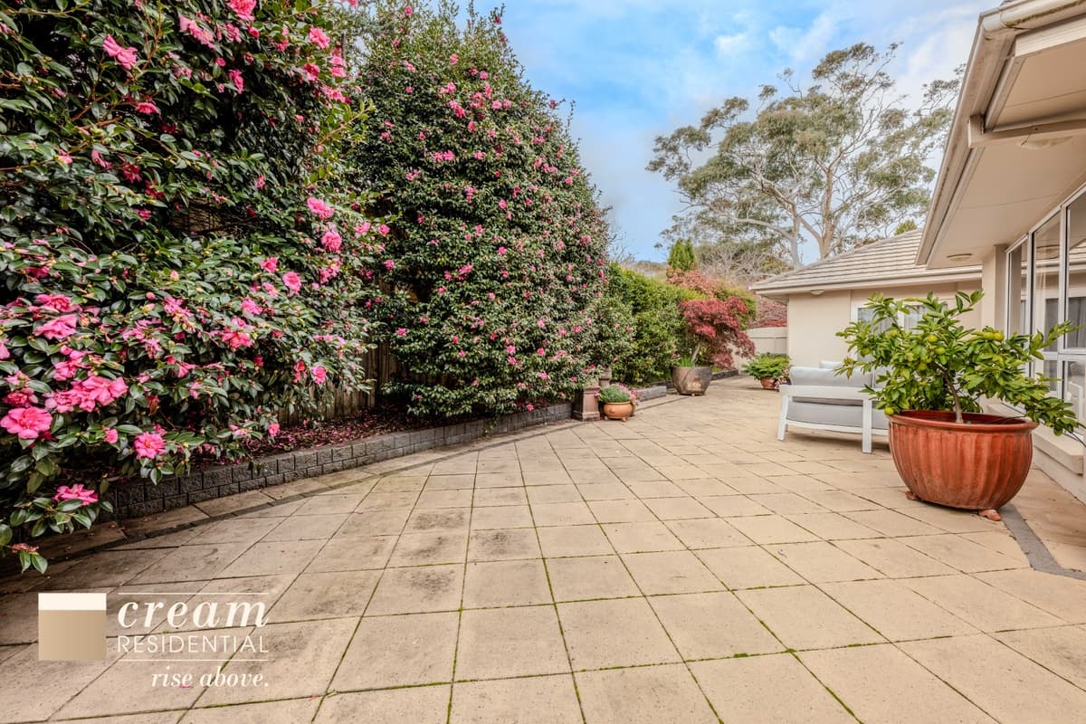 23 Brereton Street, Garran, Garran - Thumbnail 7
