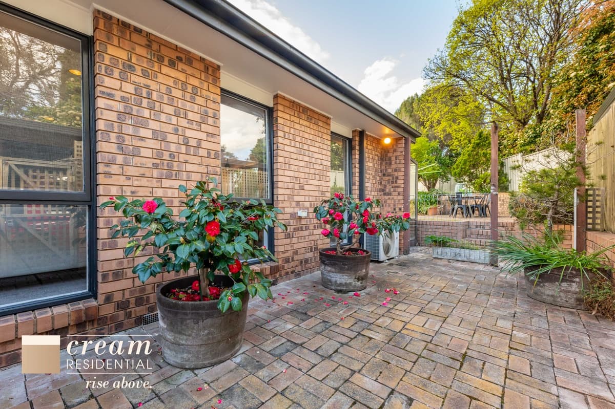 5 Malcolm Place, Kambah, Kambah - Thumbnail 3