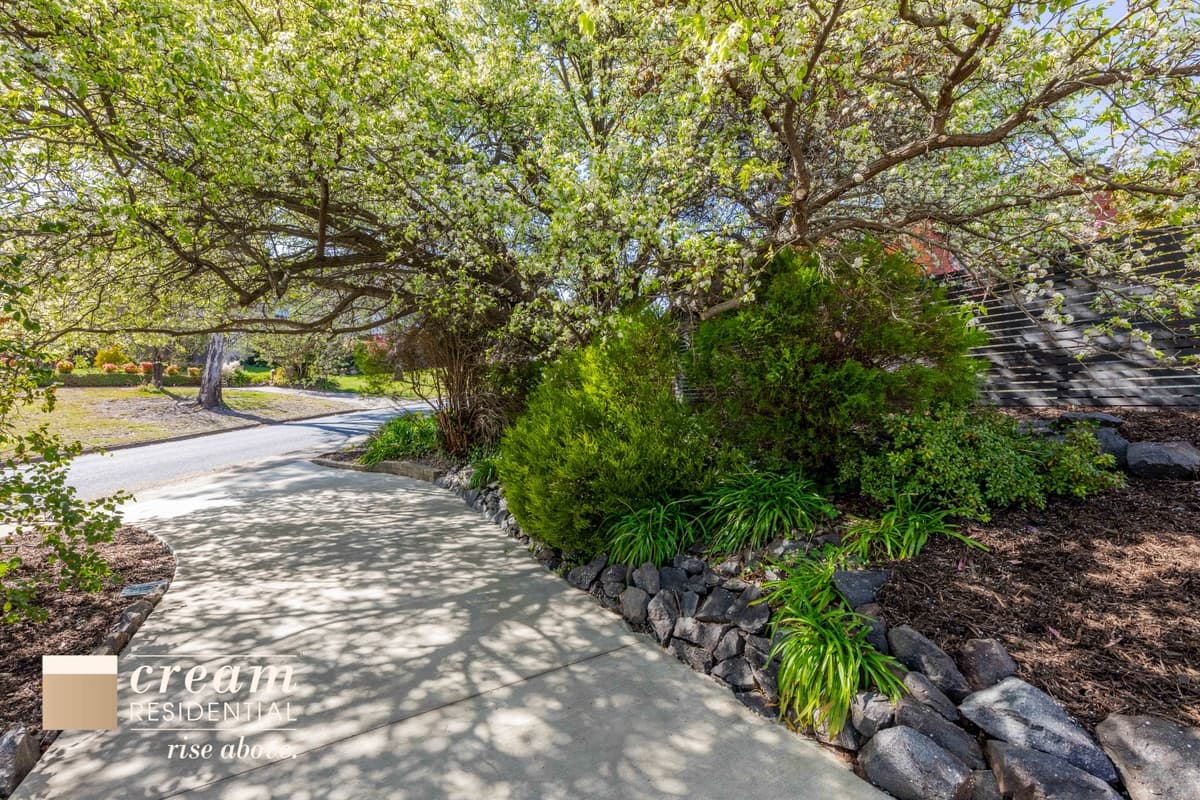 26 Brereton Street, Garran, Garran - Thumbnail 4