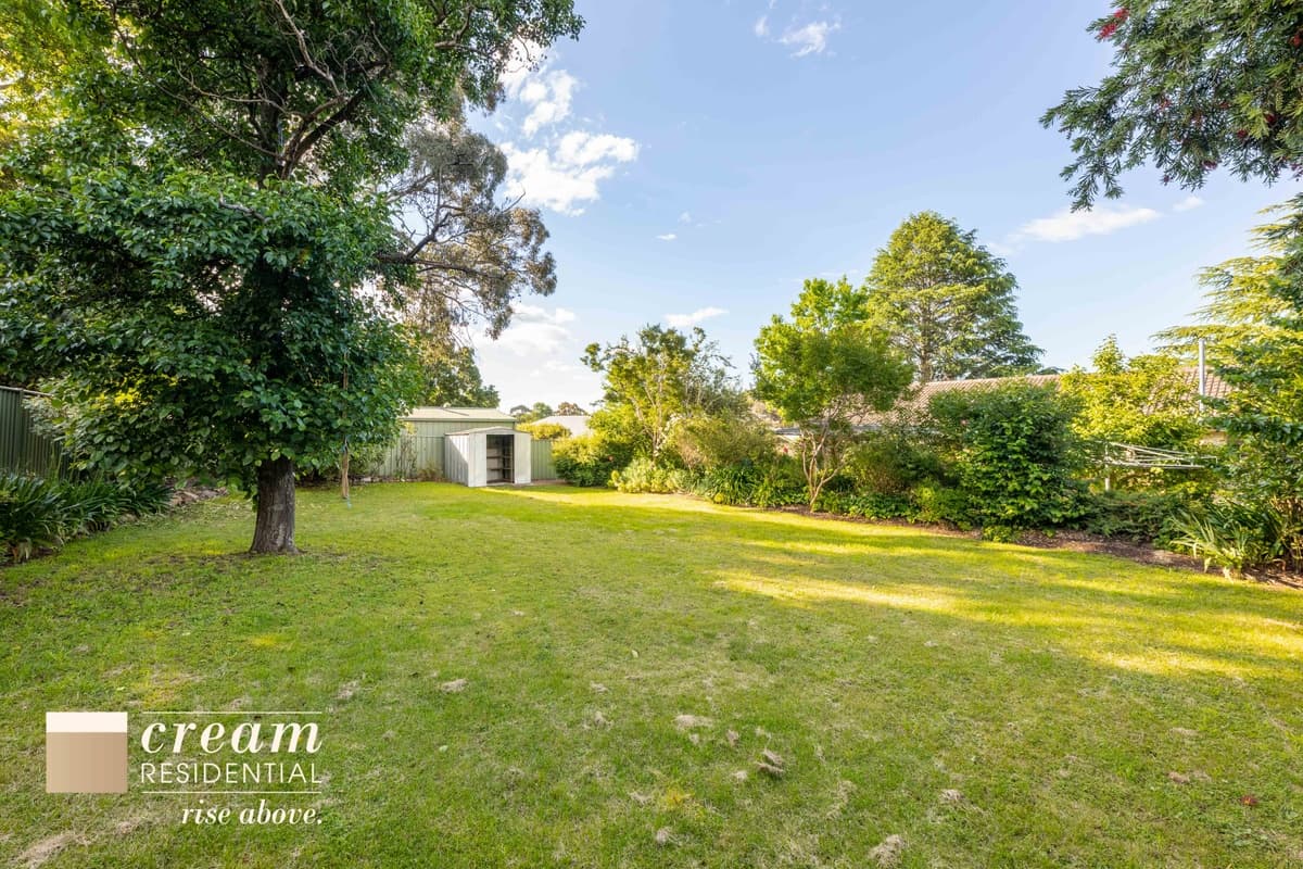 6 Jelbart Street, Mawson, Mawson - Thumbnail 6