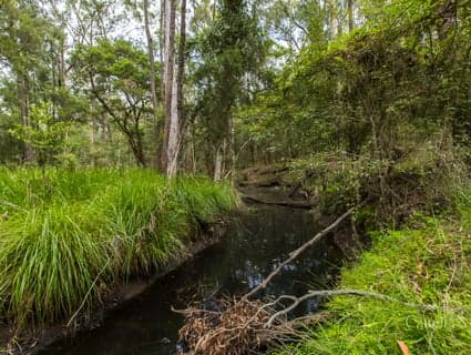 Lot 41 Bakers Lane, Sawyers Gully, NSW, 2326, Sawyers Gully - Thumbnail 2