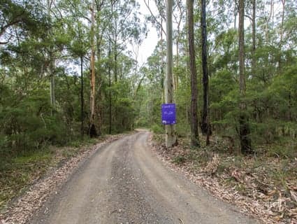 Lot 41 Bakers Lane, Sawyers Gully, NSW, 2326, Sawyers Gully - Thumbnail 4