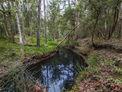 Lot 41 Bakers Lane, Sawyers Gully, NSW, 2326, Sawyers Gully - Thumbnail 7