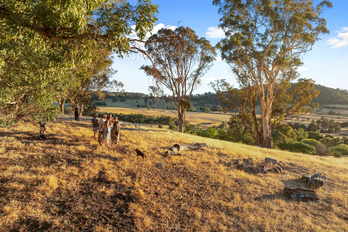155 Shanks Lane, Boorolite, VIC, 3723, Boorolite - Image 1