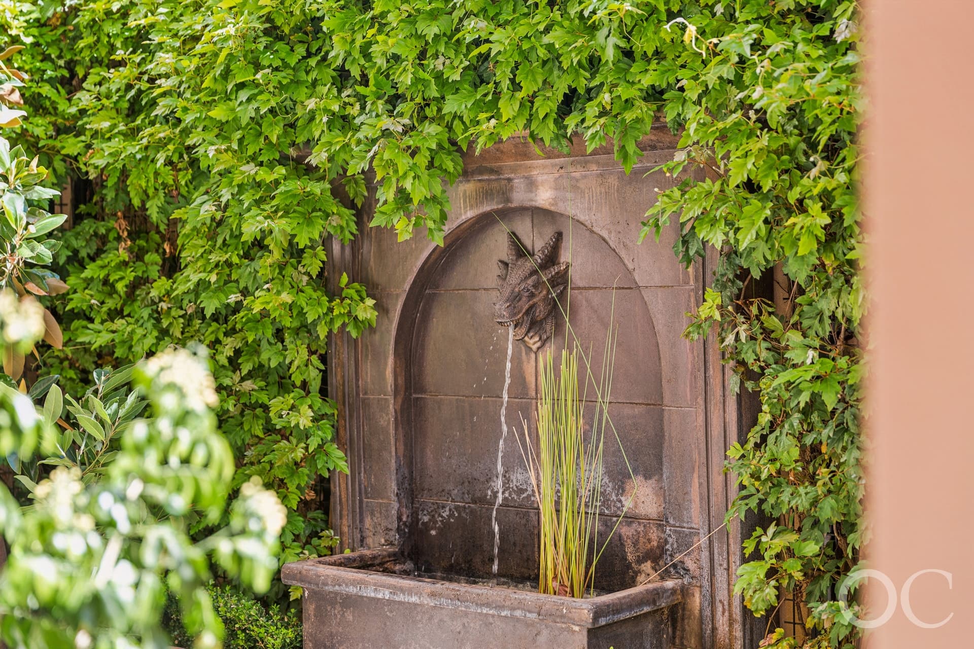 317 Wakefield Street, Adelaide - Thumbnail 7