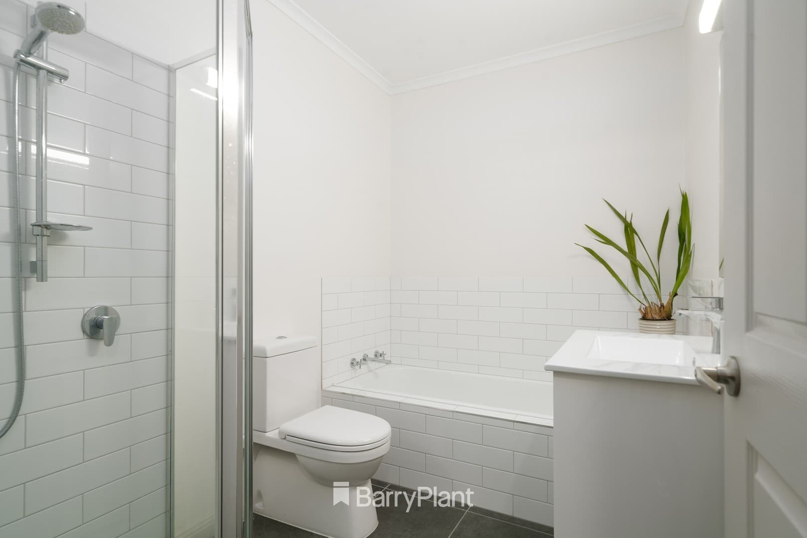 33 Shackleton StreetBelmont, VIC 3216, Belmont - Thumbnail 6