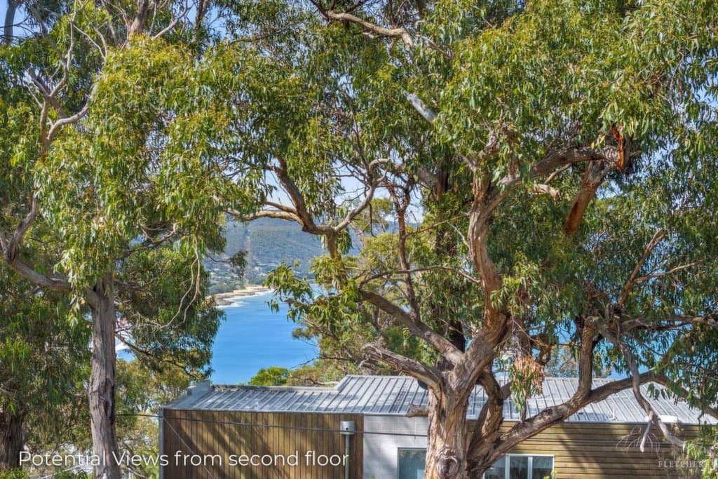 52 George Street, Lorne - Thumbnail 3