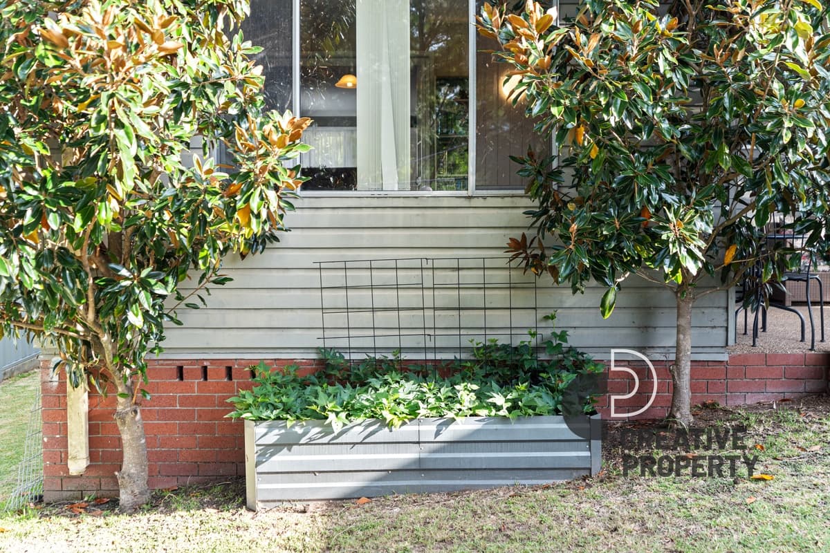 14 Coldstream Crescent, Rankin Park, Rankin Park - Thumbnail 8