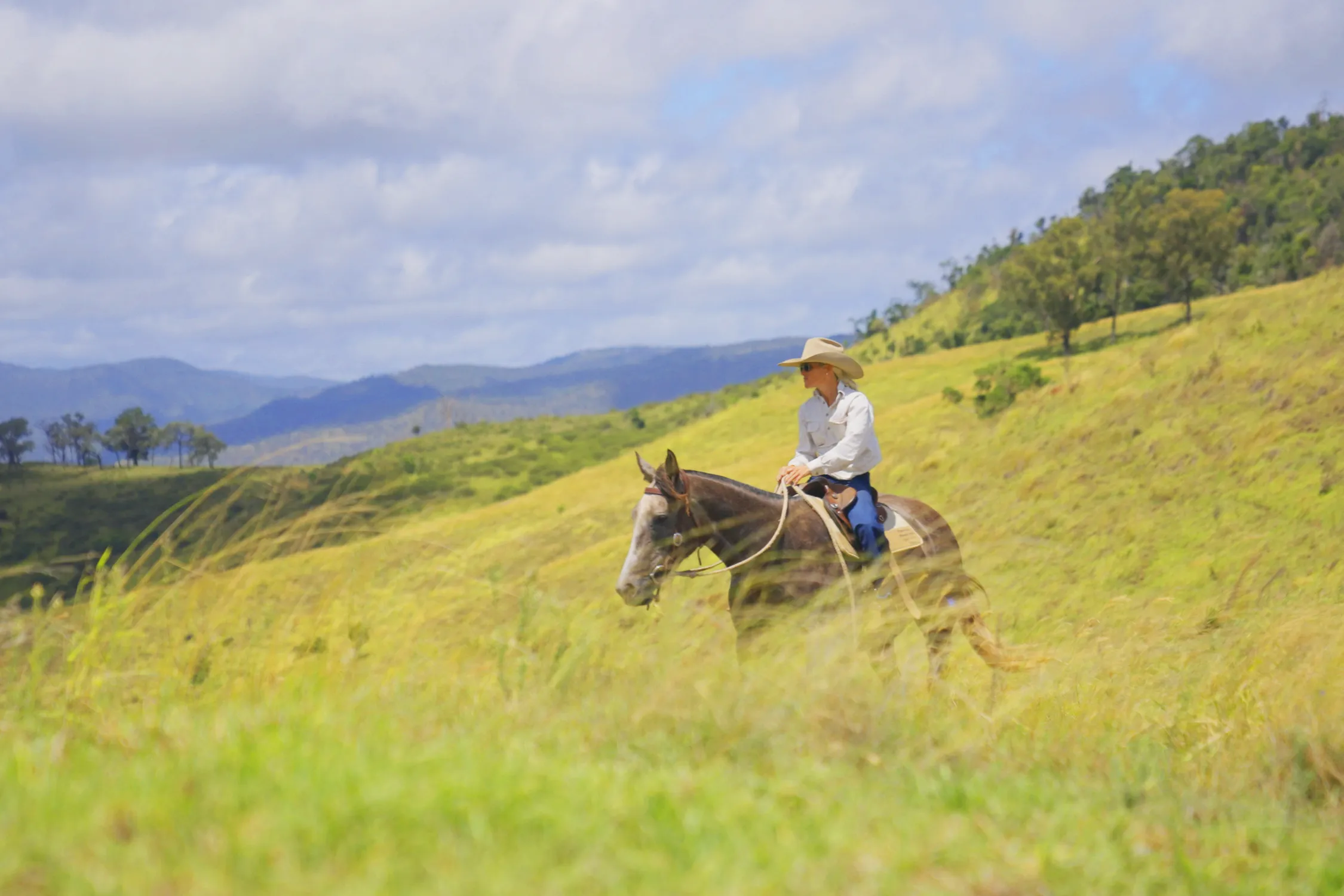 "PARADISE" 256 Paradise Road, Mount Sylvia QLD 4343, Mount Sylvia - Image 1