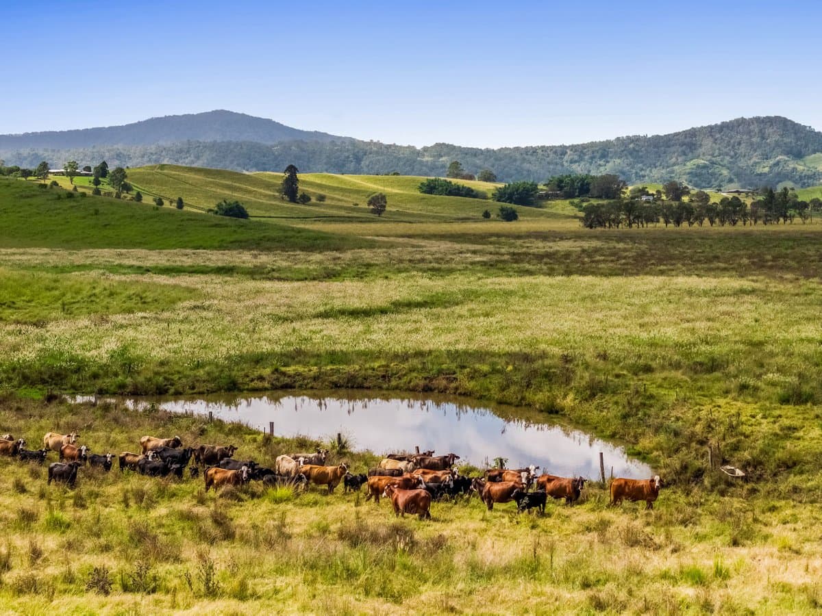 347 Summerland Way, KILGRA NSW 2474, Kilgra - Thumbnail 2