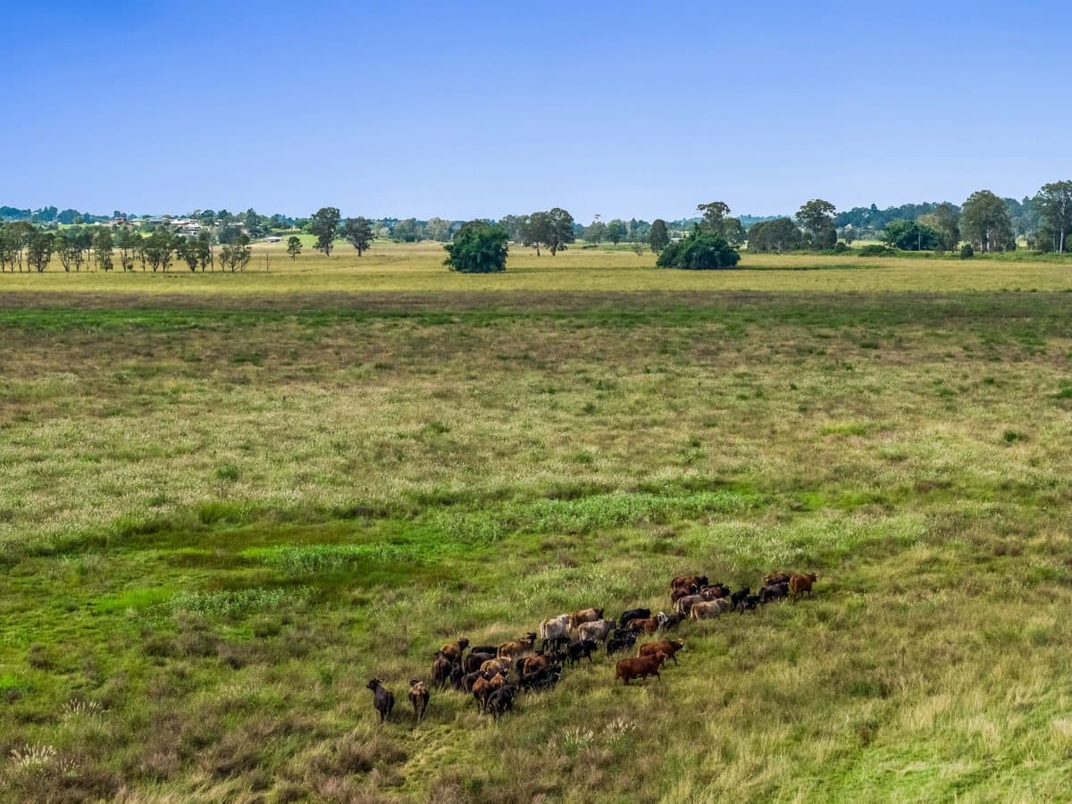 347 Summerland Way, KILGRA NSW 2474, Kilgra - Thumbnail 4