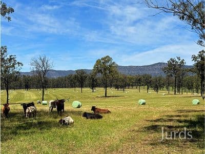 Lot 123 / 694 Hermitage Road, Pokolbin, Pokolbin - Image 1