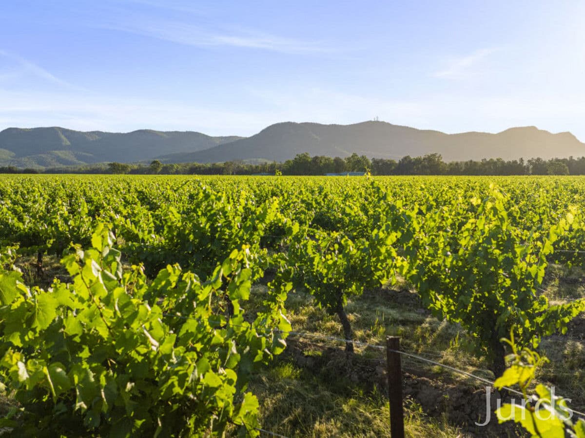 Lot 2 / DP707940 Hermitage Road, Pokolbin, Pokolbin - Image 1
