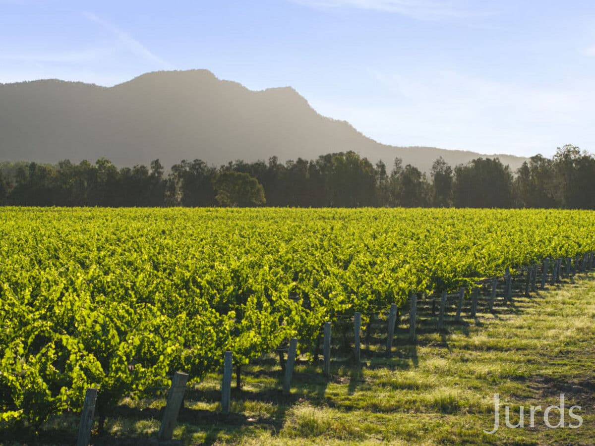 Lot 2 / DP707940 Hermitage Road, Pokolbin, Pokolbin - Thumbnail 2