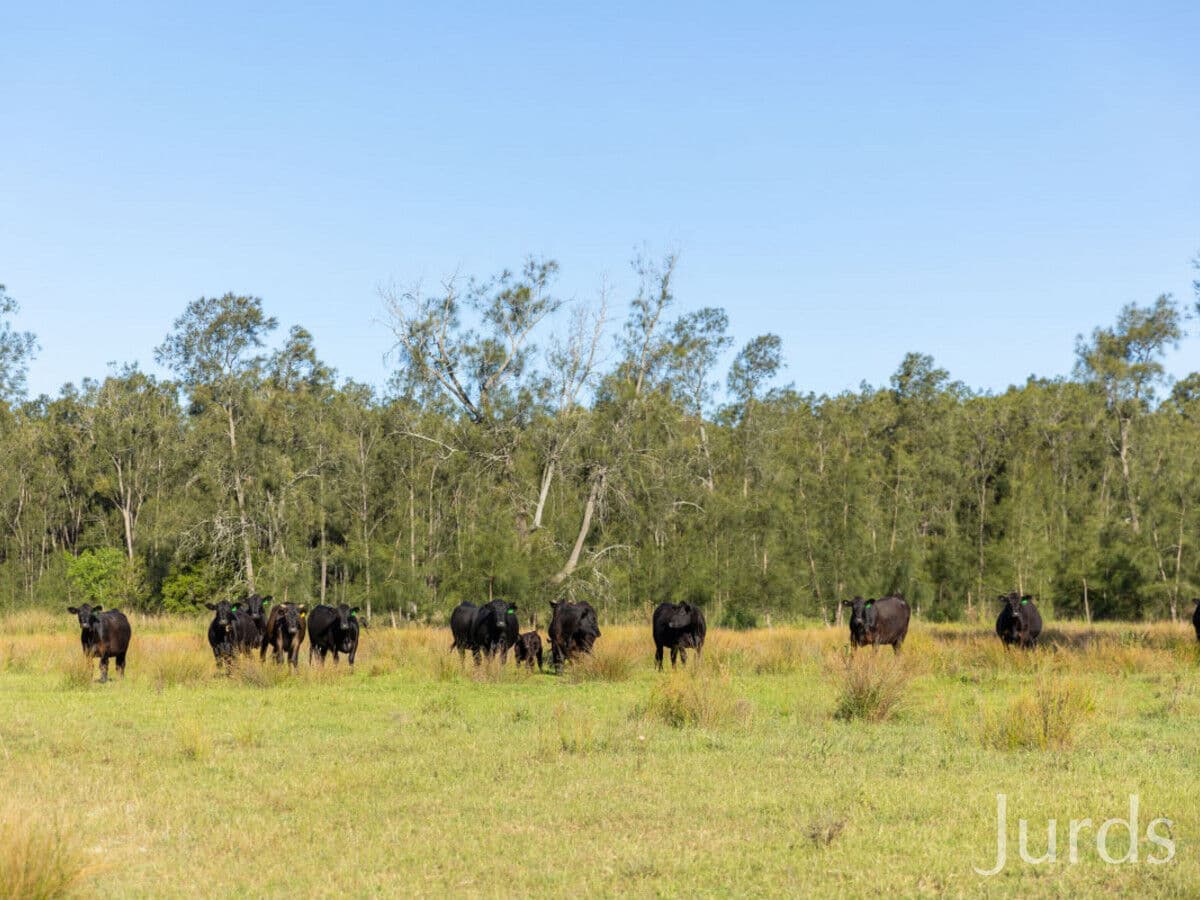 Lot 2 / DP707940 Hermitage Road, Pokolbin, Pokolbin - Thumbnail 6