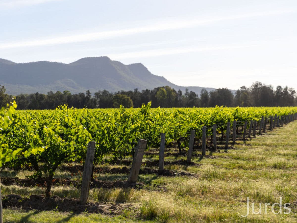 Lot 2 / DP707940 Hermitage Road, Pokolbin, Pokolbin - Thumbnail 7