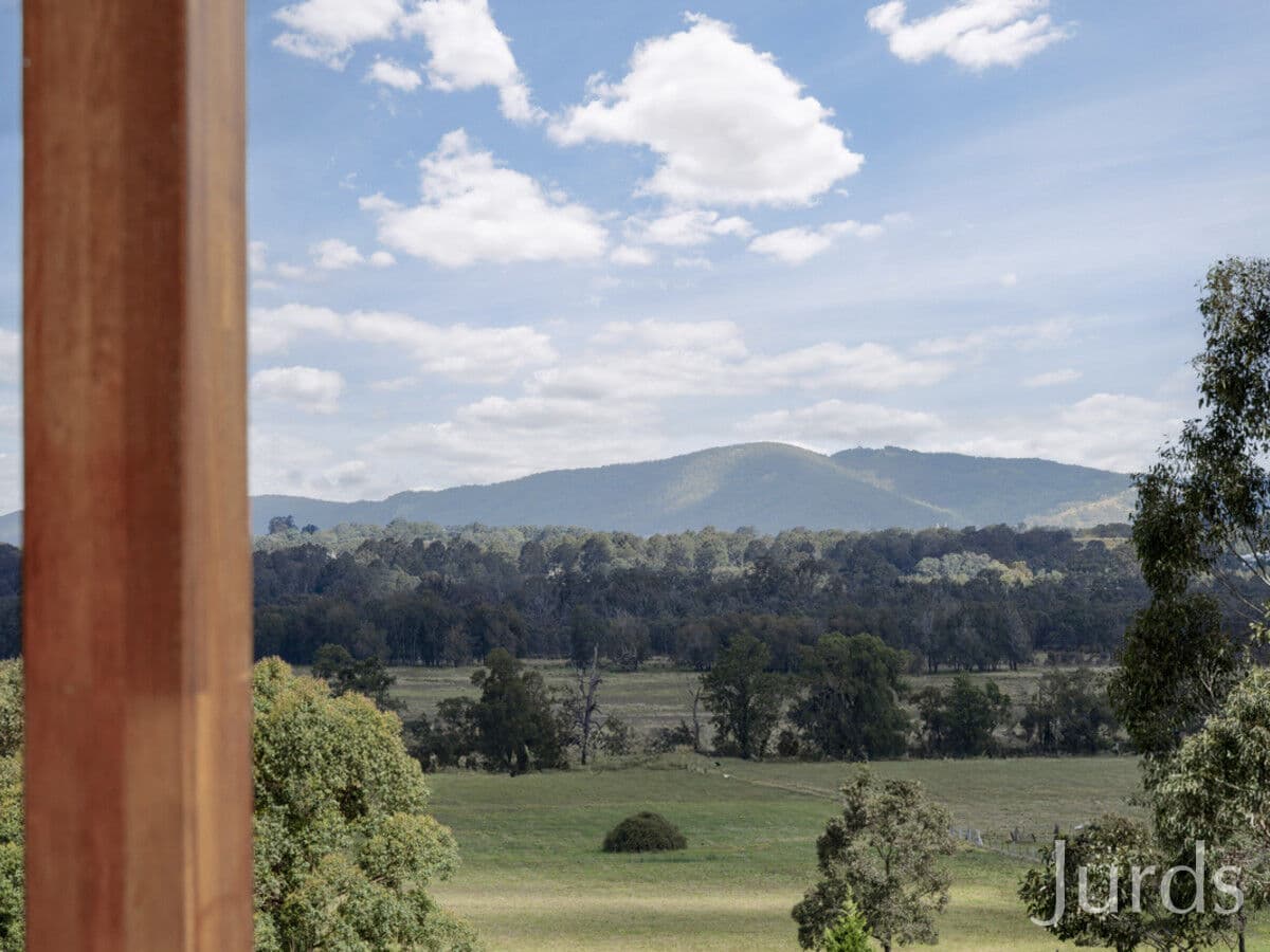 444 Talga Road, Lovedale, Lovedale - Thumbnail 4