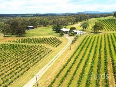 266 Deasys Road, Pokolbin, Pokolbin - Image 1