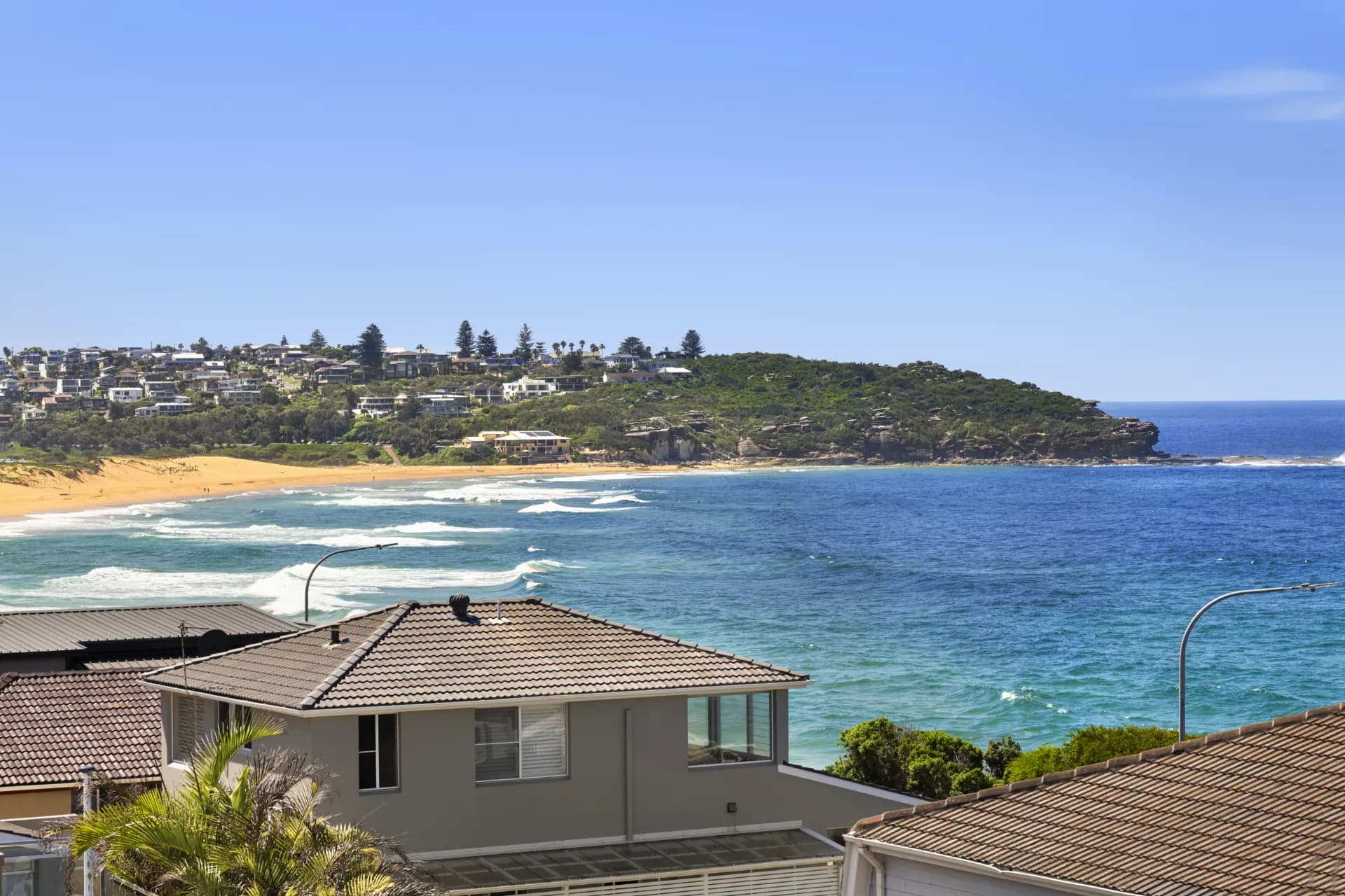 23 The Drive, Freshwater, NSW, Freshwater - Image 1
