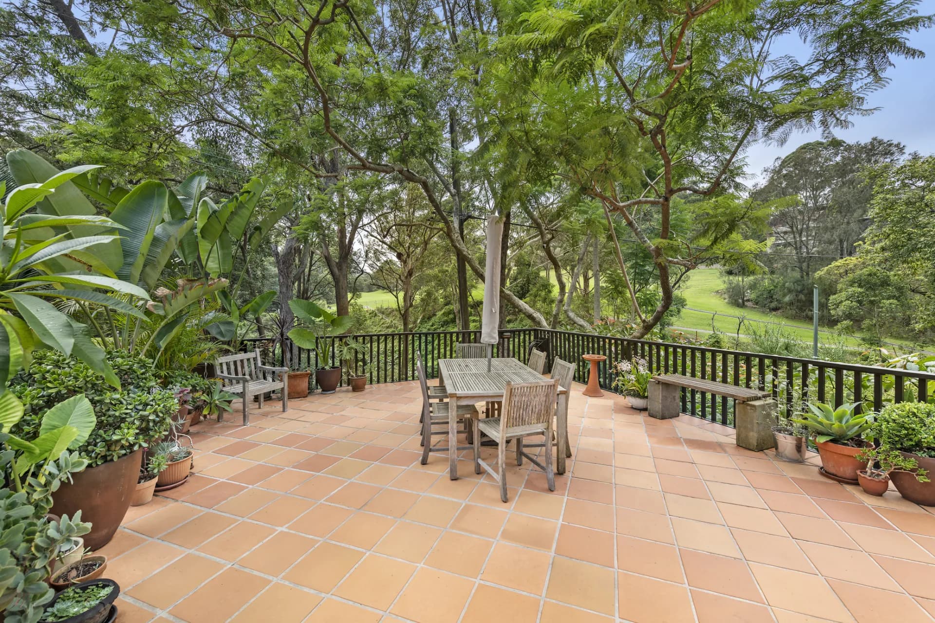 42  Richardson Street West, Lane Cove, NSW, Lane Cove - Thumbnail 6
