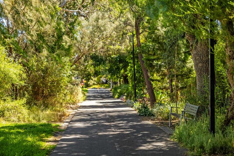 3/86A Charles Street, Unley - Thumbnail 4