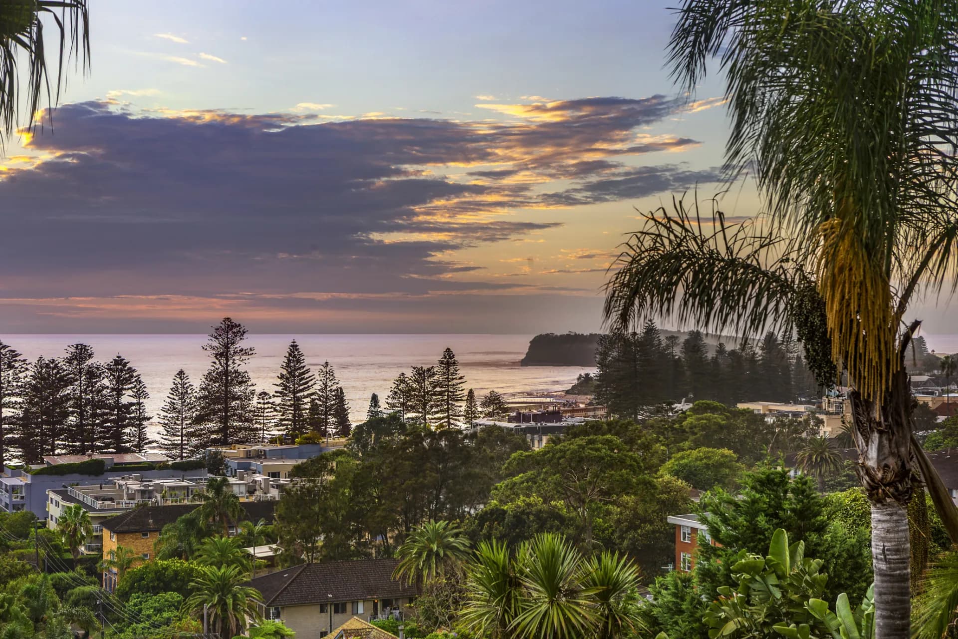 31 Jenkins Street, Collaroy, NSW, Collaroy - Thumbnail 3