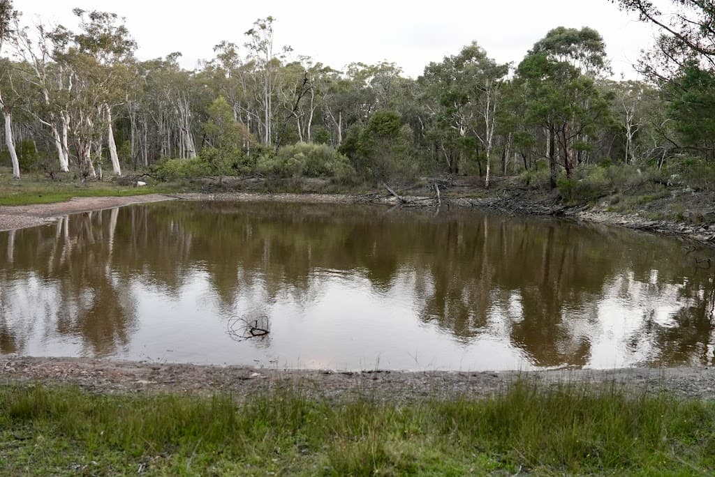 134 Gumnut Crescent, Bungonia, NSW, 2580, Bungonia - Thumbnail 2