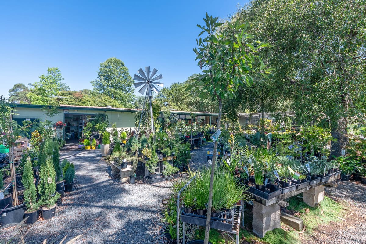 9 Victoria Crescent, MOUNT BARKER SA 5251, Mount Barker - Thumbnail 6