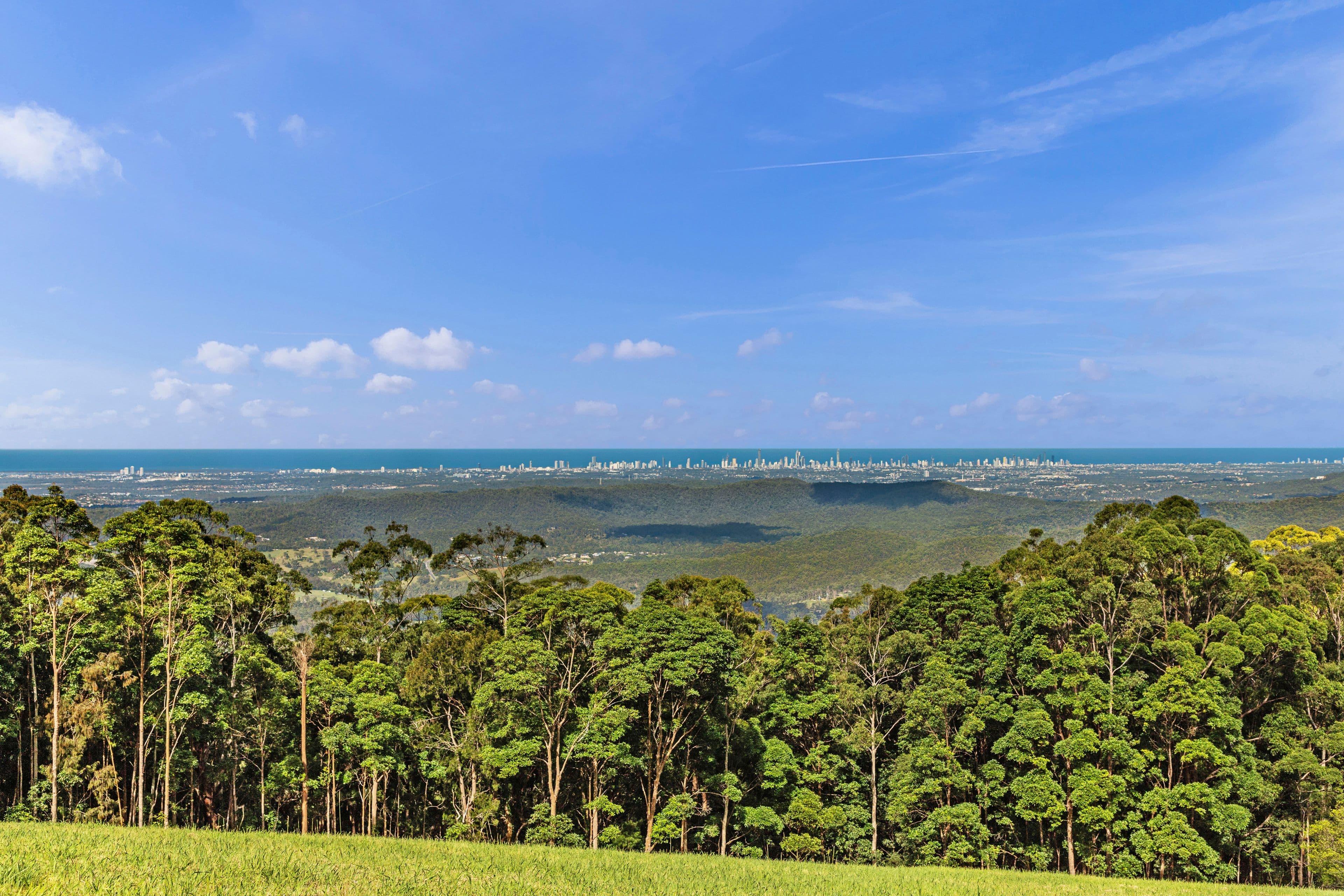 89 Guanaba Road, Tamborine Mountain QLD 4272, Tamborine Mountain - Thumbnail 4