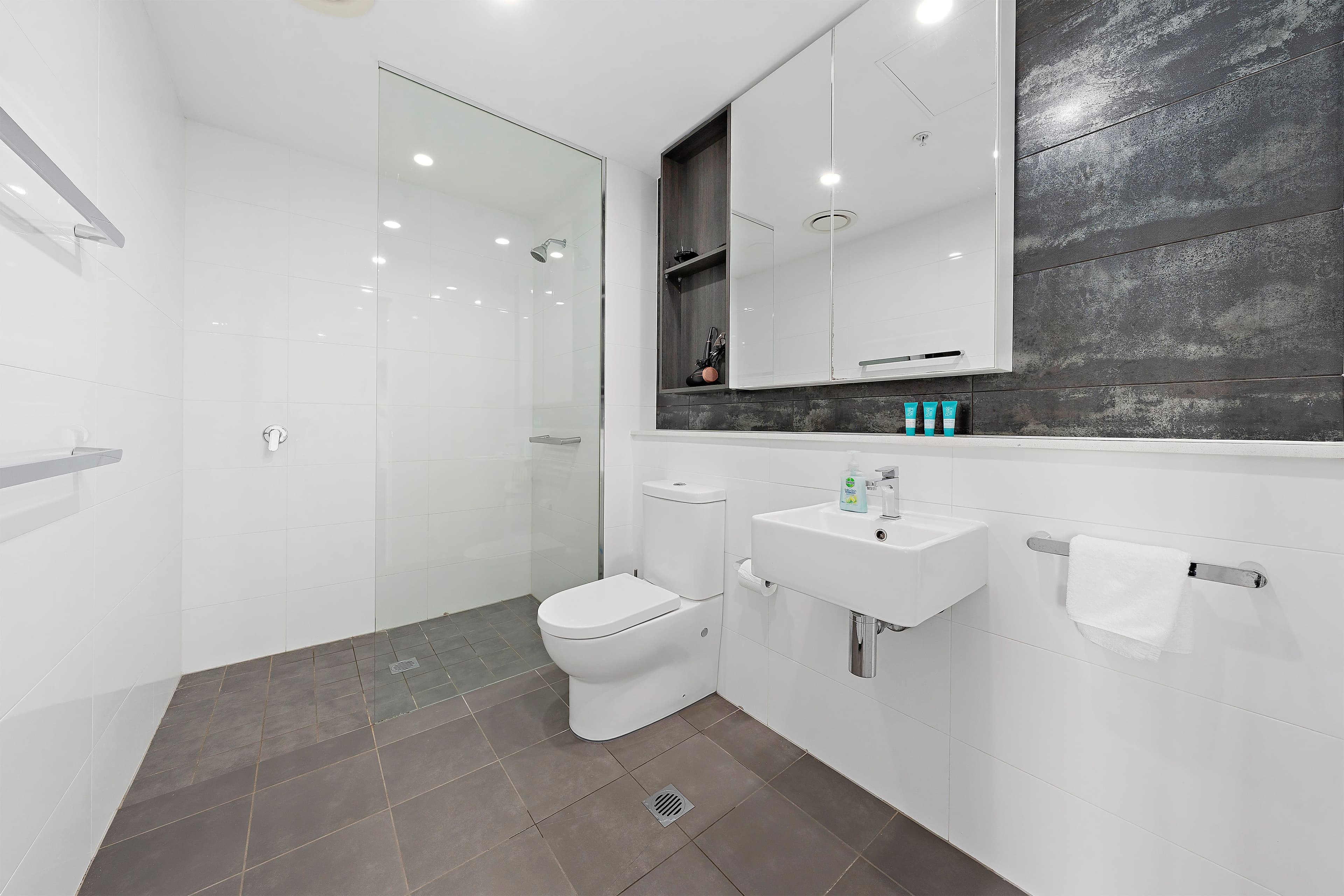 1009/88 Archer Street, Chatswood NSW 2067, Chatswood - Thumbnail 5