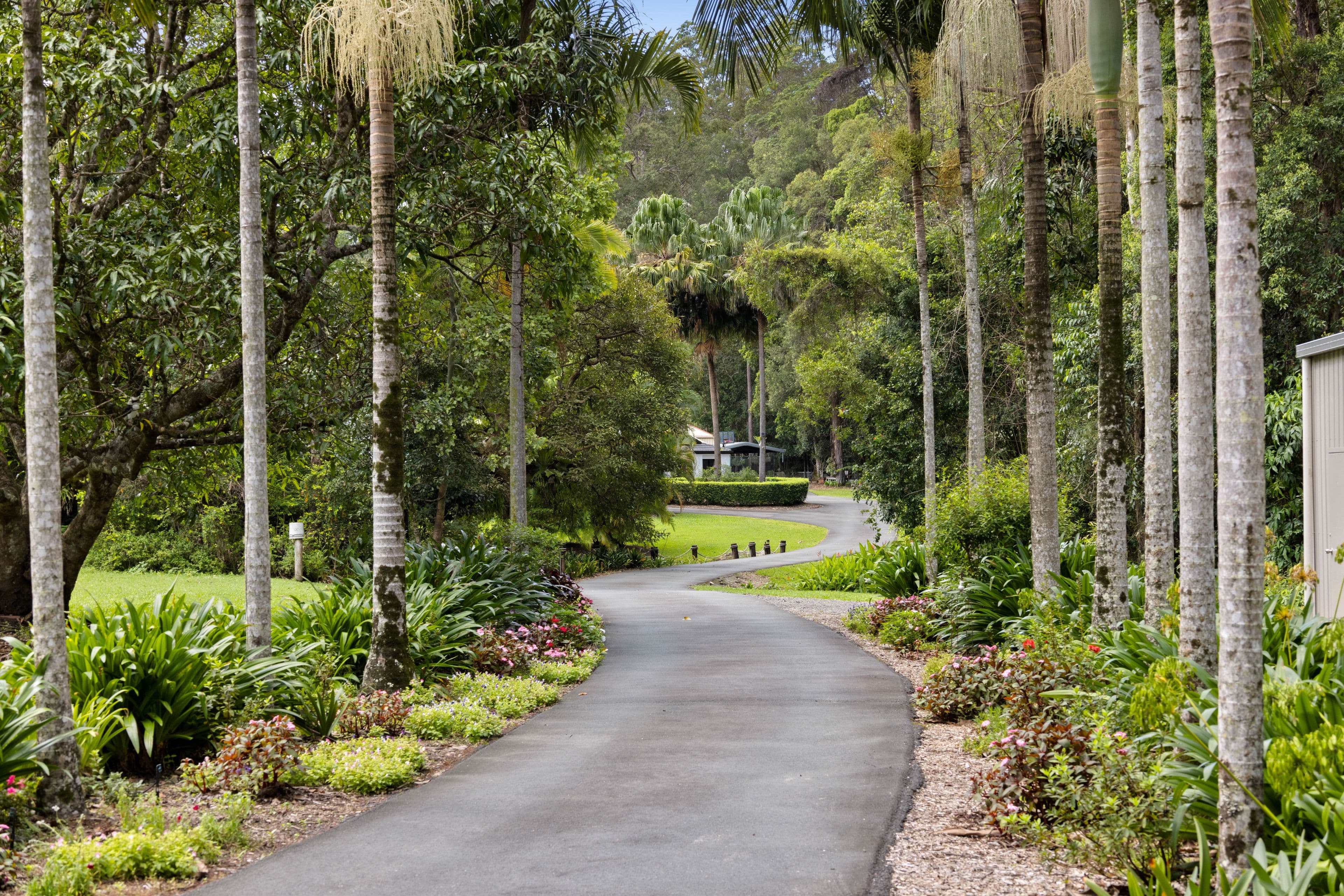 6 Sawreys Road, Forest Glen QLD 4556, Mons - Thumbnail 6