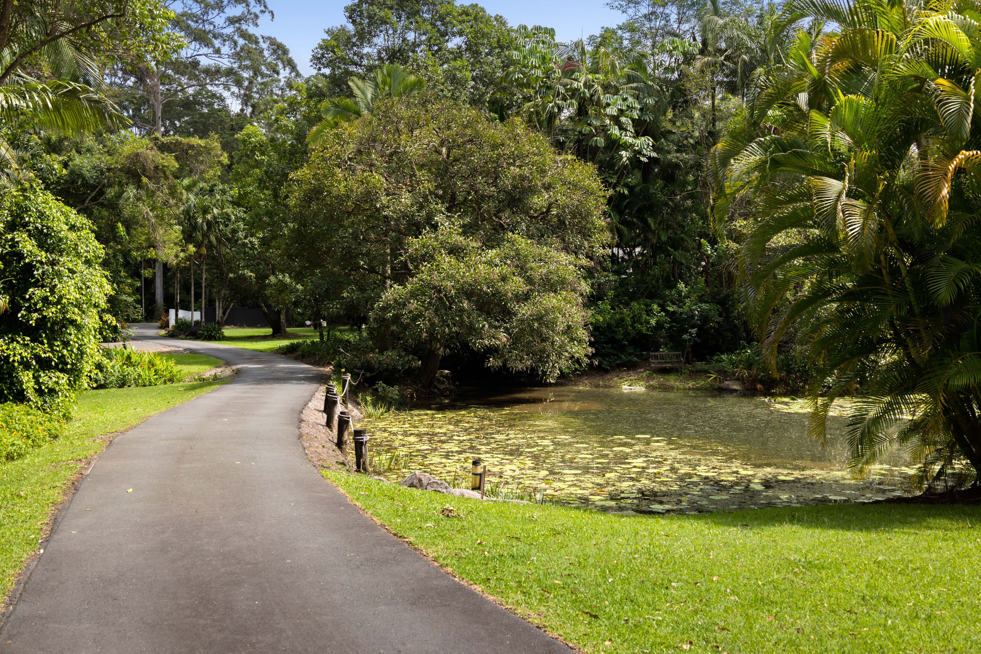 6 Sawreys Road, Forest Glen QLD 4556, Mons - Thumbnail 7