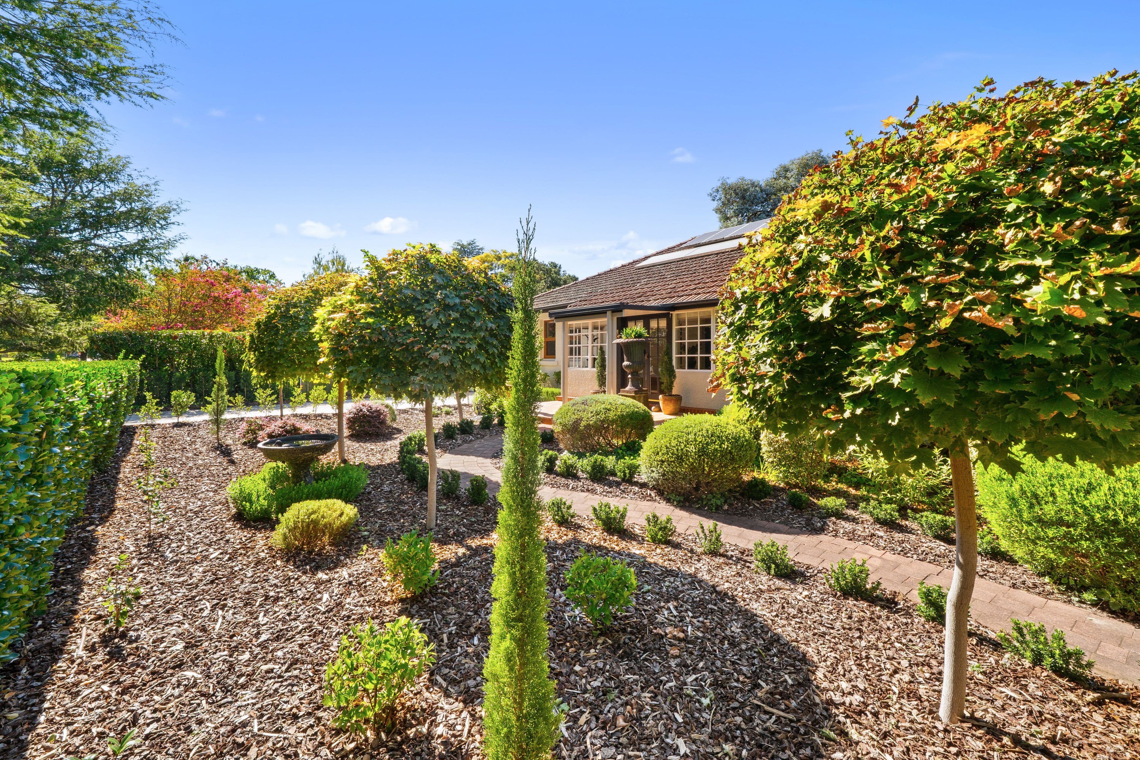 50 Girrahween Street, Braddon ACT 2612, Braddon - Thumbnail 4