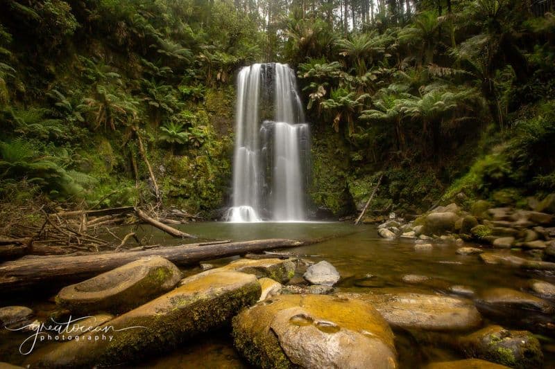 54 Gardner Street Beech Forest VIC, Beech Forest - Thumbnail 8
