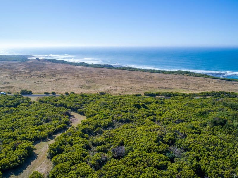 Level 41, 41A, 4/1010 Lighthouse Road Cape Otway VIC, Cape Otway - Thumbnail 5