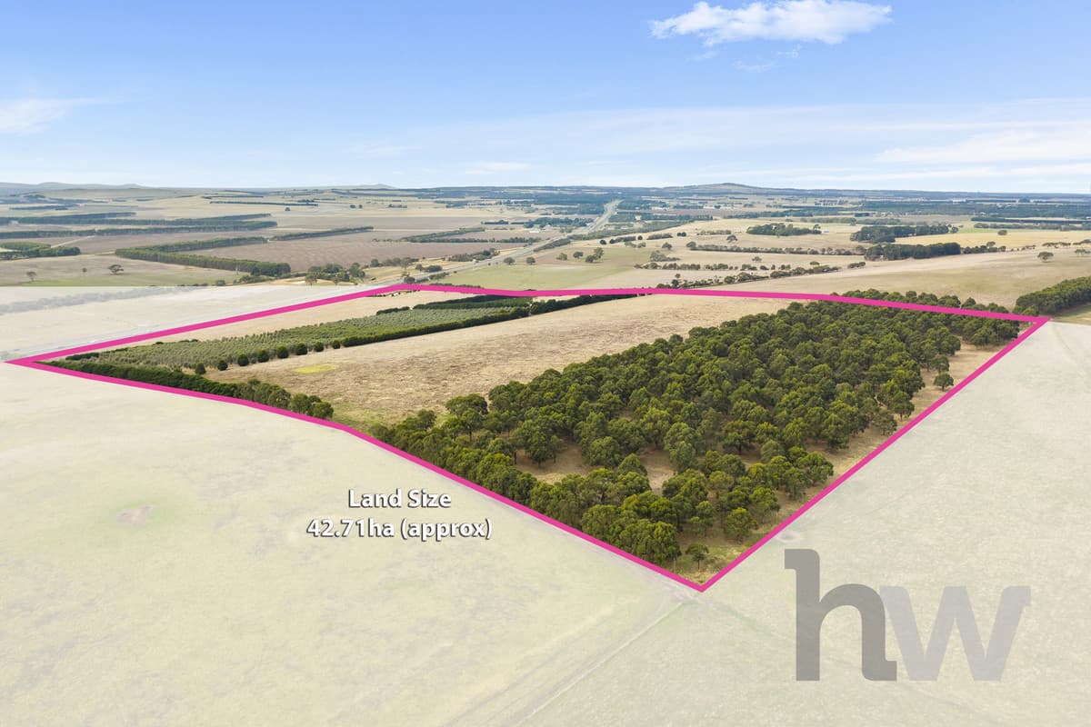 2585 Princes Highway, WINCHELSEA VIC 3241, Winchelsea - Thumbnail 3